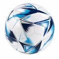 Pallone da Calcio Misura 5 Bianco e Blu